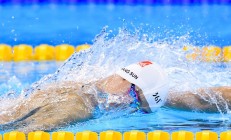 开云下载-逆流而上，武切维奇抢七夜接管比赛，浙江队强压雷霆书写传奇