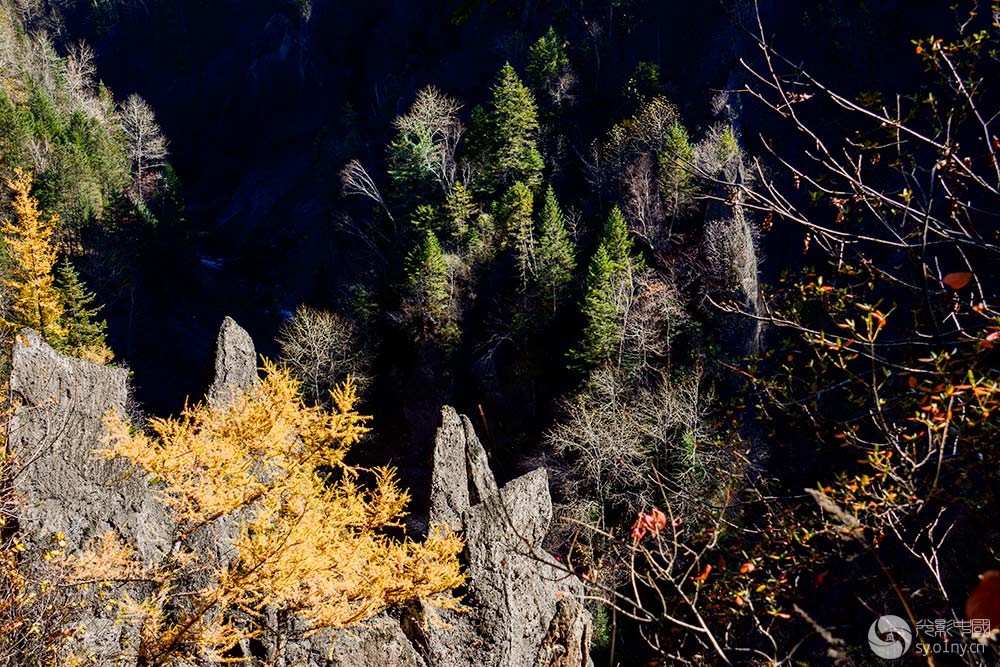 关于哈特尔普力对抗吉林峡谷，胜多负少的信息