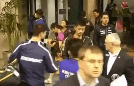 波兰队碾压德国队，王皓高光表现的简单介绍