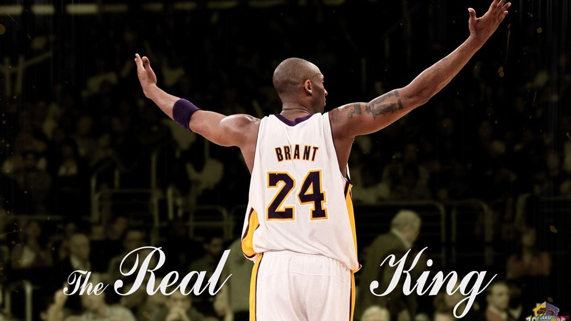 总决赛之夜，贝恩的沉默风暴，当精准成为暴力